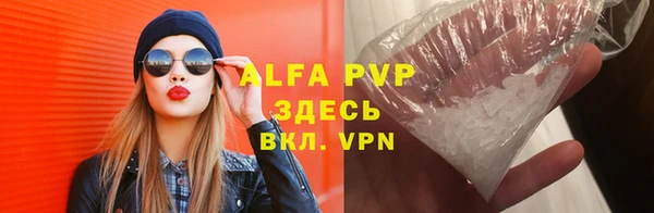 PSILOCYBIN Ладушкин