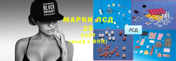 PSILOCYBIN Кукмор