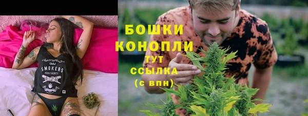 PSILOCYBIN Кукмор