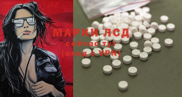винт Лабытнанги