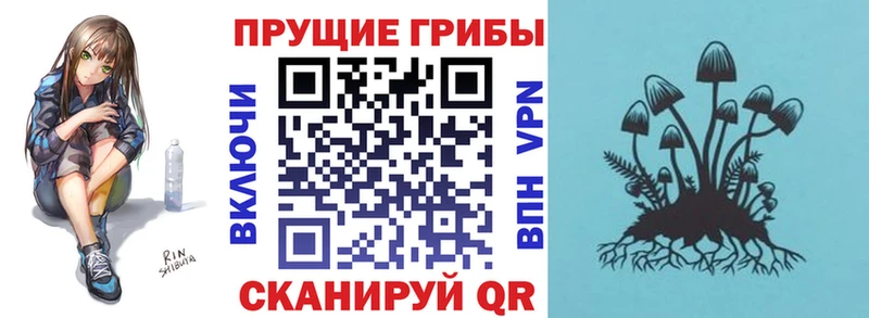 Галлюциногенные грибы Psilocybine cubensis  ссылка на мегу маркетплейс  Невьянск 