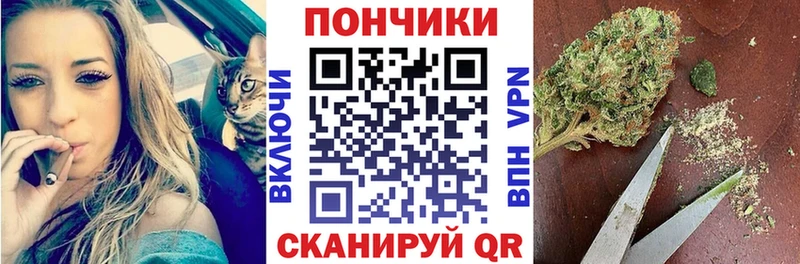 Бошки Шишки семена  Невьянск 